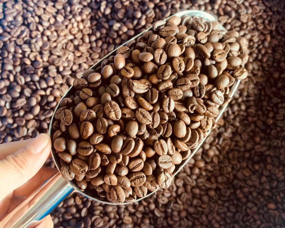 Wholesale Suppliers of Roasted Arabica & Robusta Whole Bean Coffee Custom 250g/pack & 500g/pack Bags for Corporate Customers